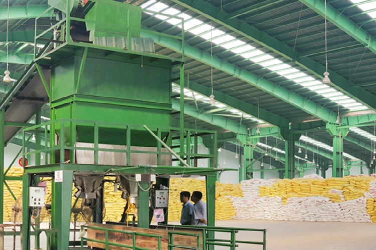 Mái lợp xưởng vi sinh