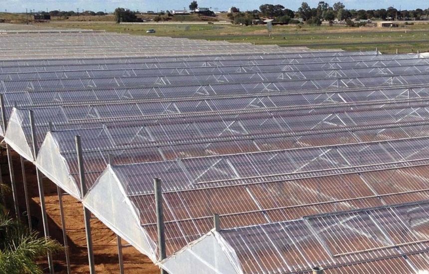 Tôn nhựa Phường Bình Cơ