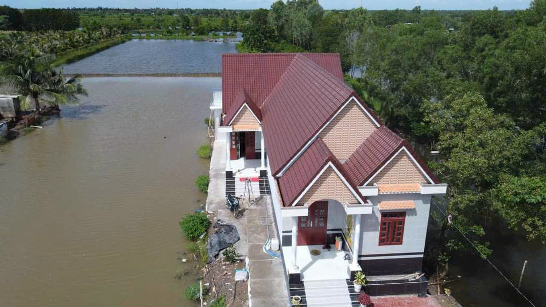 Tôn nhựa giả ngói Cần Thơ