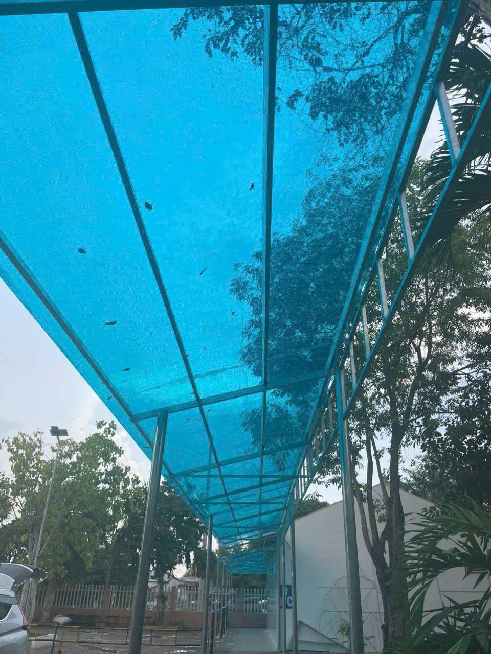 Tôn lấy sáng Quảng Nam